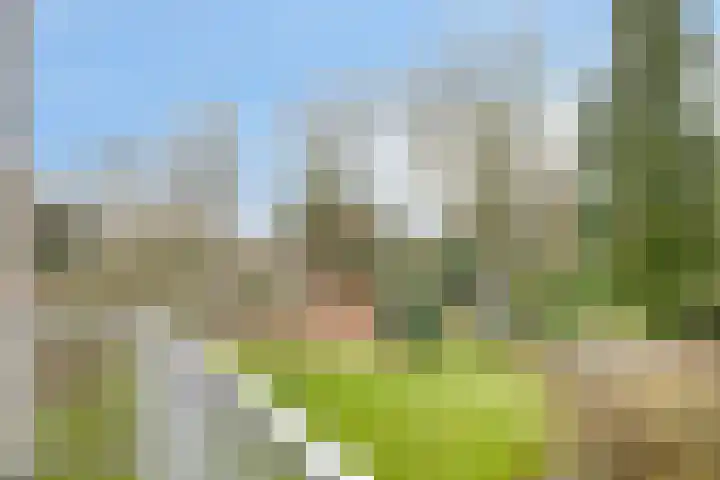 Vossenberg 23 Prinsenbeek thumbnail 31
