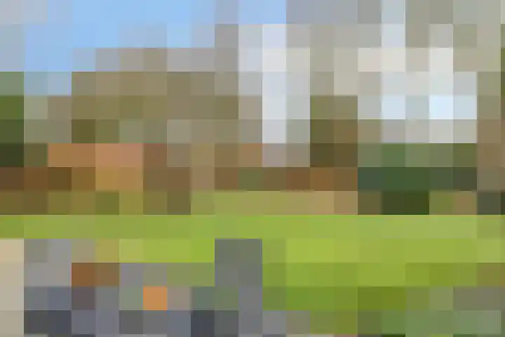 Vossenberg 23 Prinsenbeek thumbnail 35
