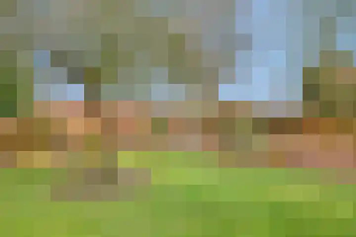 Vossenberg 23 Prinsenbeek thumbnail 36