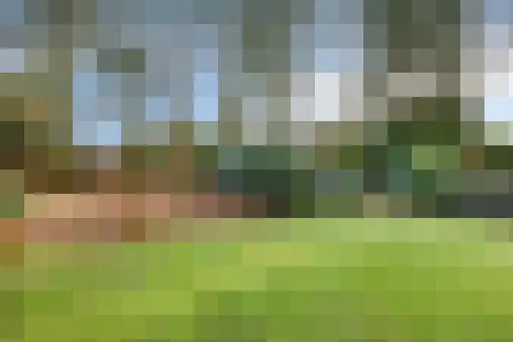 Vossenberg 23 Prinsenbeek thumbnail 37