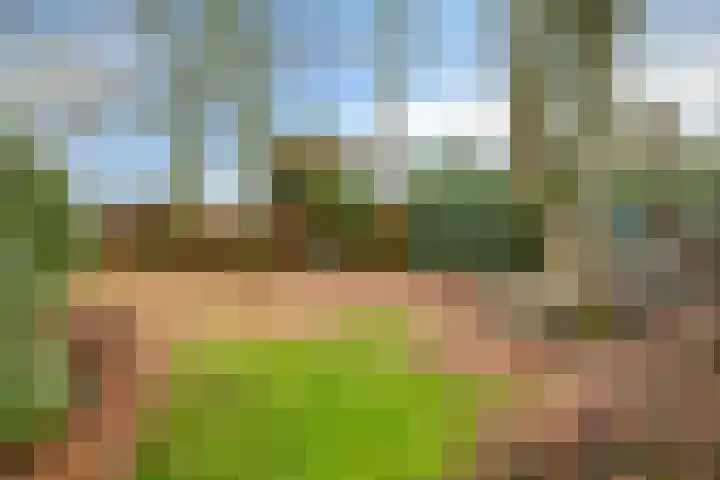 Vossenberg 23 Prinsenbeek thumbnail 38