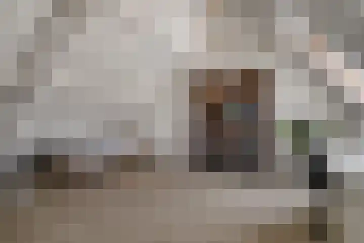 Vossenberg 24 Prinsenbeek thumbnail 30