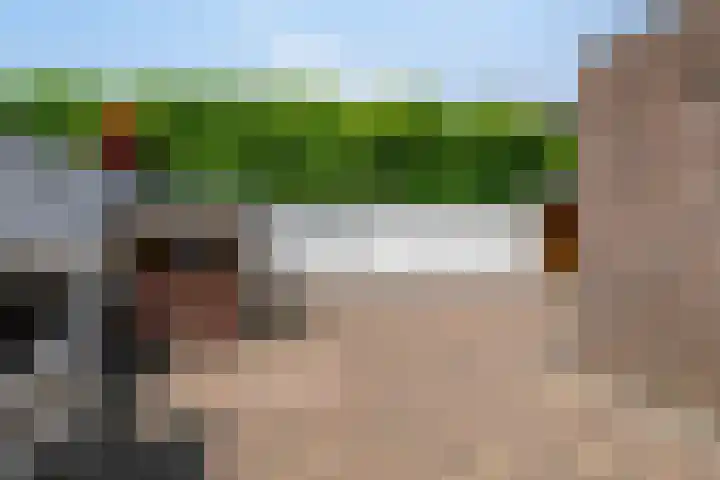 Vossenberg 24 Prinsenbeek thumbnail 33