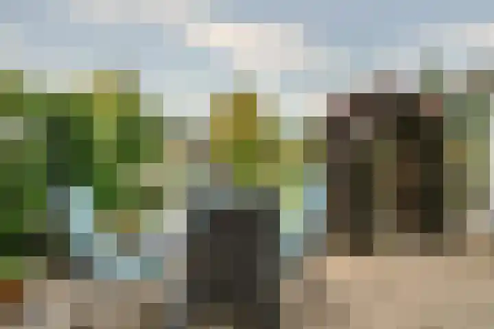 Vossenberg 36 Beesel thumbnail 14