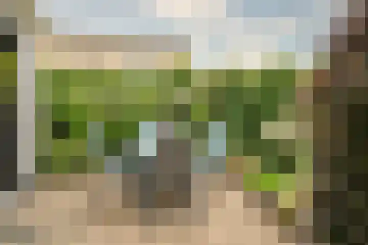 Vossenberg 36 Beesel thumbnail 16