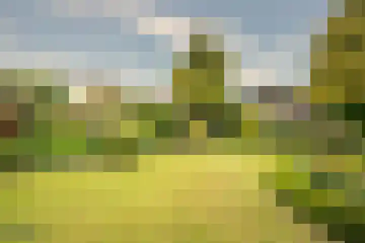 Vossenberg 36 Beesel thumbnail 19