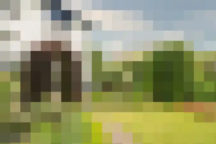 Vossenberg 36 Beesel thumbnail 20
