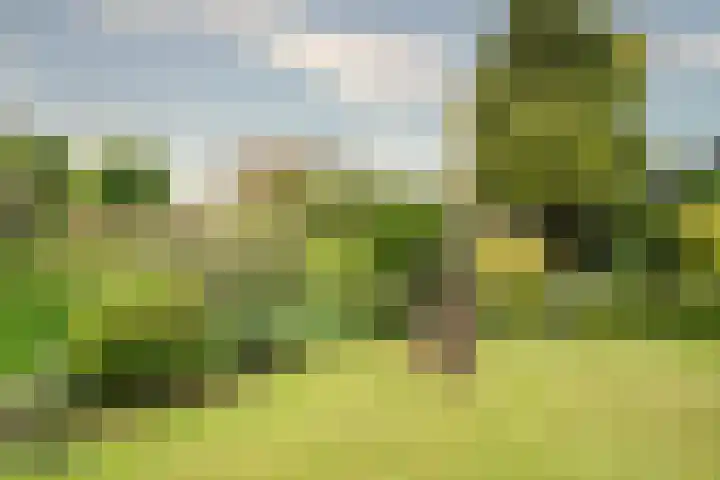 Vossenberg 36 Beesel thumbnail 22