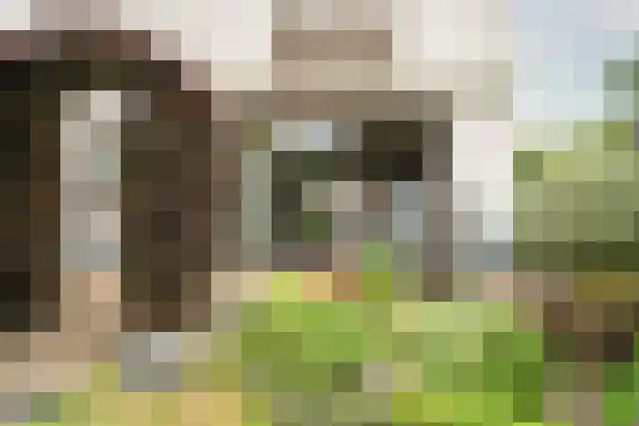 Vossenberg 36 Beesel thumbnail 24