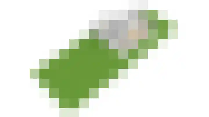 Vossenberg 36 Beesel thumbnail 52