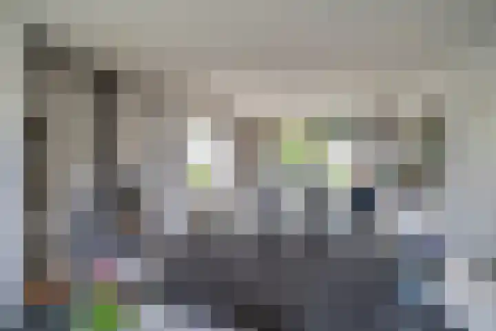 Vossenberg 36 Beesel thumbnail 8