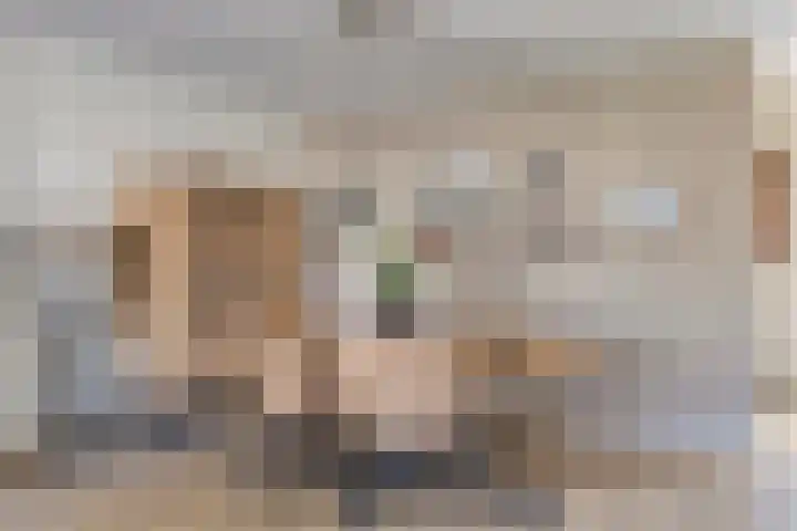 Vossenbergdreef 5 Helmond thumbnail 17