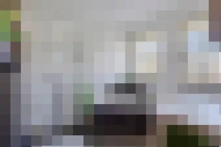 Vossenbergdreef 5 Helmond thumbnail 33