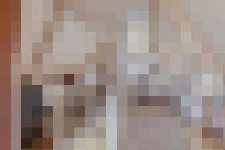 Vossenbergdreef 5 Helmond thumbnail 35