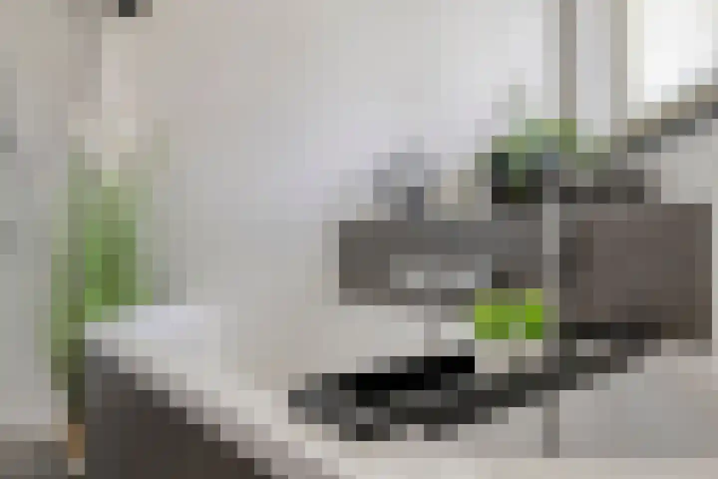 Vossenbergdreef 5 Helmond thumbnail 36
