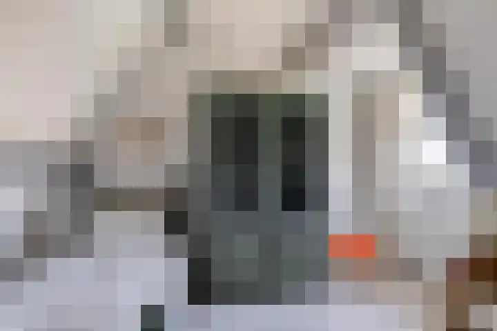 Vossenbergdreef 5 Helmond thumbnail 37