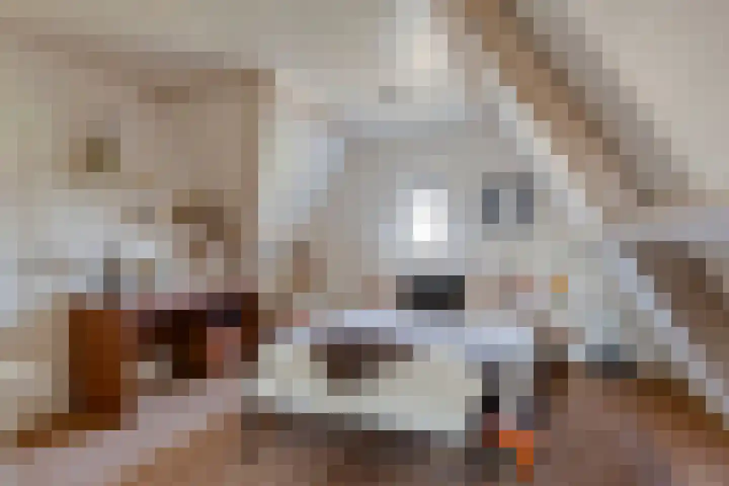Vossenbergdreef 5 Helmond thumbnail 38