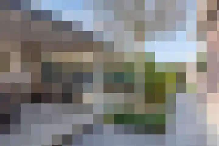 Vossenbergdreef 5 Helmond thumbnail 39