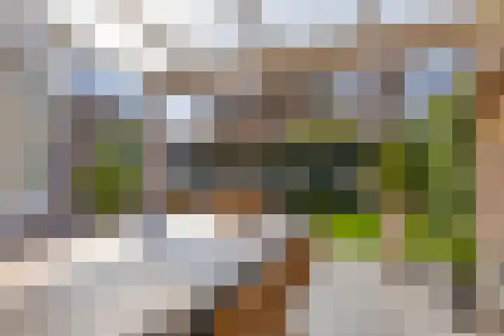 Vossenbergdreef 5 Helmond thumbnail 42
