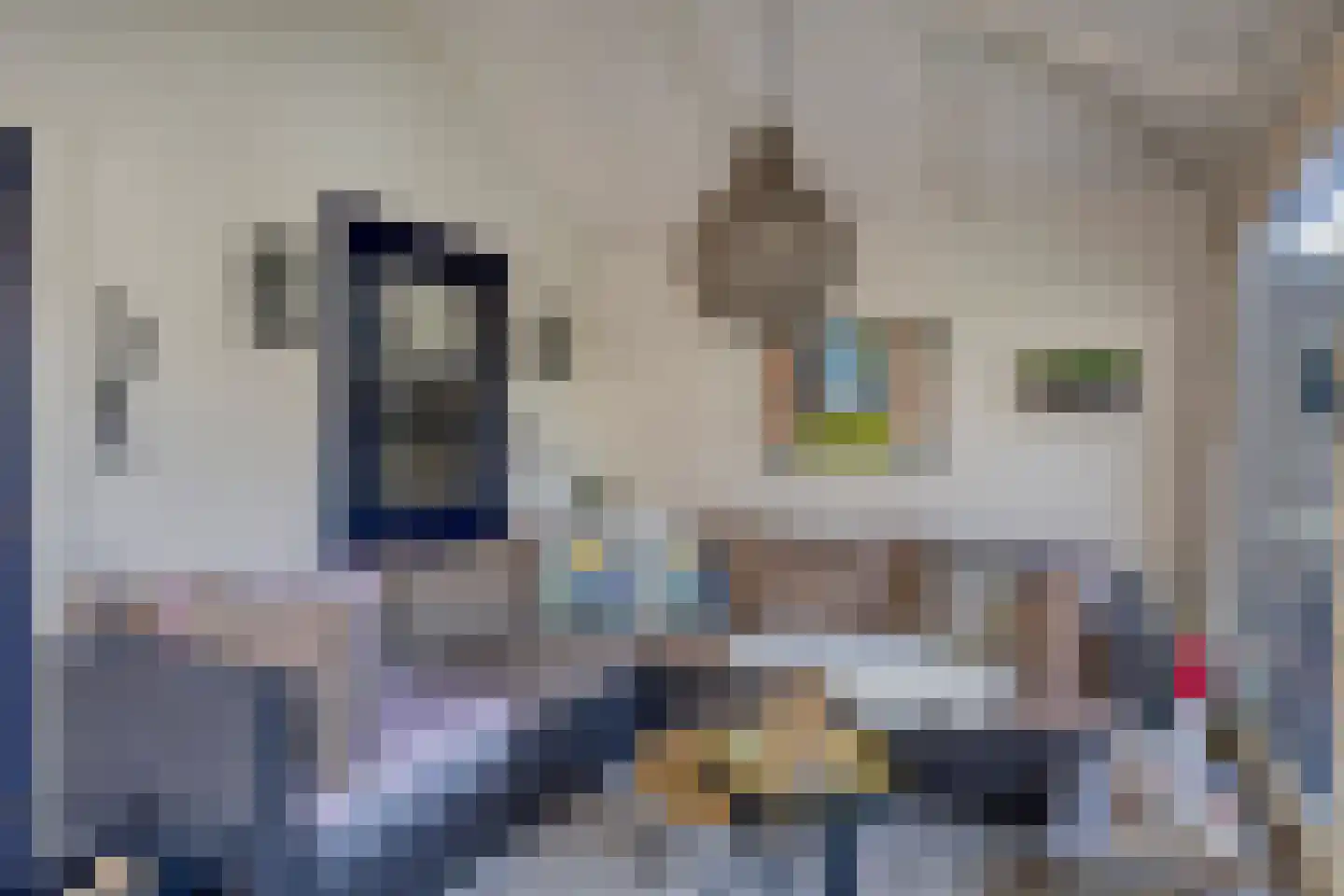 Vossenbergdreef 5 Helmond thumbnail 46