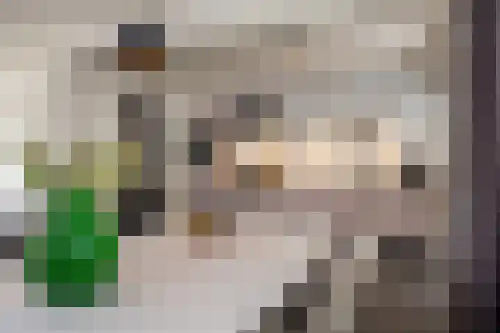 Vossenbergdreef 5 Helmond thumbnail 51