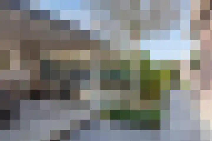 Vossenbergdreef 5 Helmond thumbnail 6
