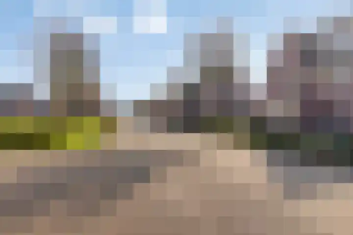 Vossenbergdreef 5 Helmond thumbnail 9