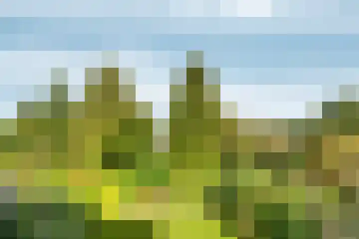 Vossenberglaan 21 Rozendaal thumbnail 21