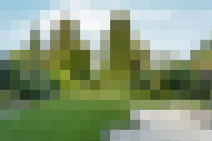 Vossenberglaan 21 Rozendaal thumbnail 34