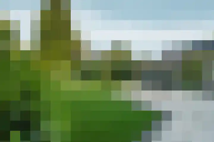 Vossenberglaan 21 Rozendaal thumbnail 35