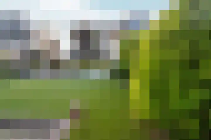 Vossenberglaan 21 Rozendaal thumbnail 36
