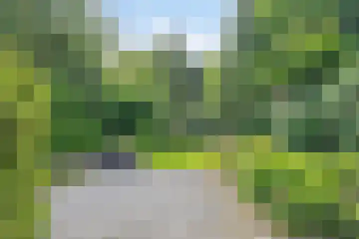 Vossenberglaan 6 Rozendaal thumbnail 38