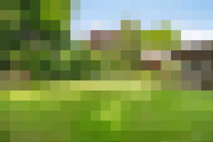 Vossenberglaan 6 Rozendaal thumbnail 40
