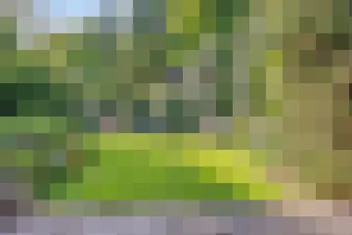 Vossenberglaan 6 Rozendaal thumbnail 42