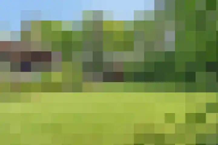 Vossenberglaan 6 Rozendaal thumbnail 44