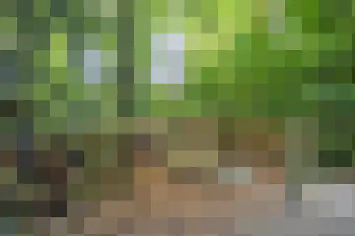 Vossenberglaan 6 Rozendaal thumbnail 47