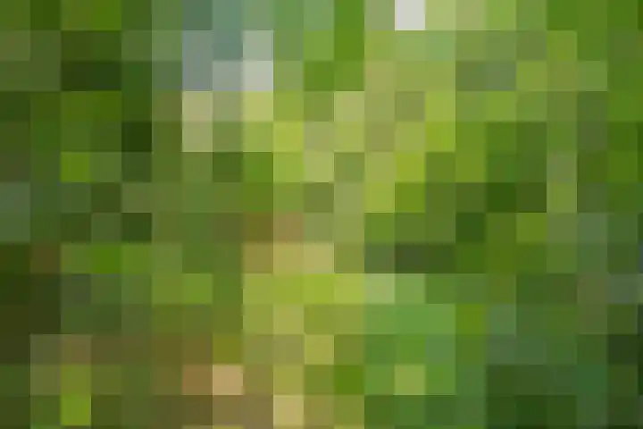 Vossenberglaan 6 Rozendaal thumbnail 48