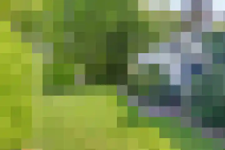 Vossenberglaan 6 Rozendaal thumbnail 6
