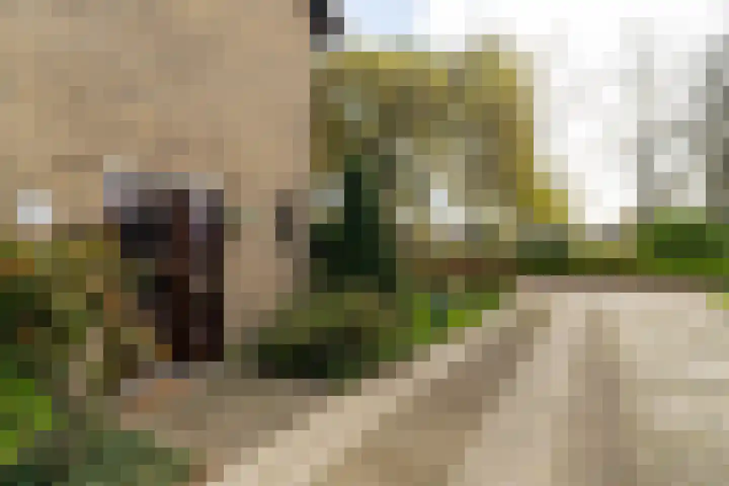 Vossenbergselaan 66 Kaatsheuvel thumbnail 9