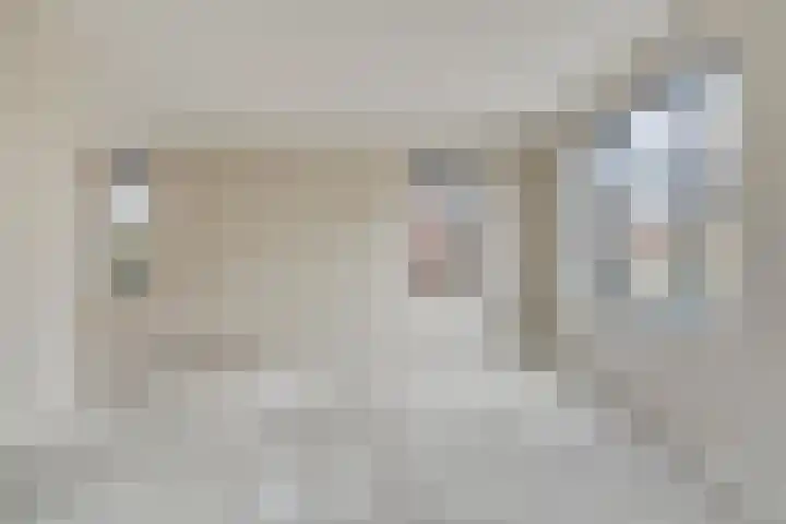 Vossenbes 30 Borne thumbnail 17