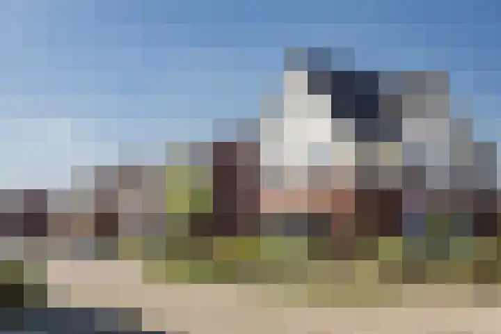 Vossenbes 33 Borne thumbnail 10