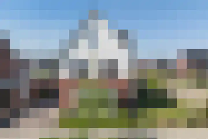 Vossenbes 33 Borne thumbnail 11