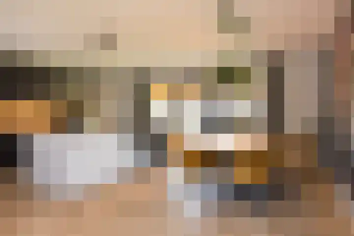 Vossenbes 33 Borne thumbnail 20
