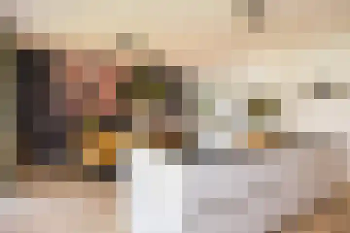 Vossenbes 33 Borne thumbnail 25
