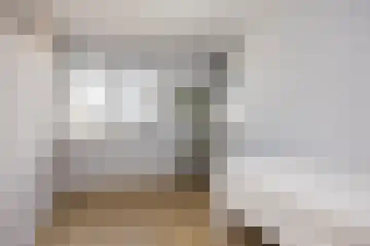 Vossenbes 33 Borne thumbnail 31