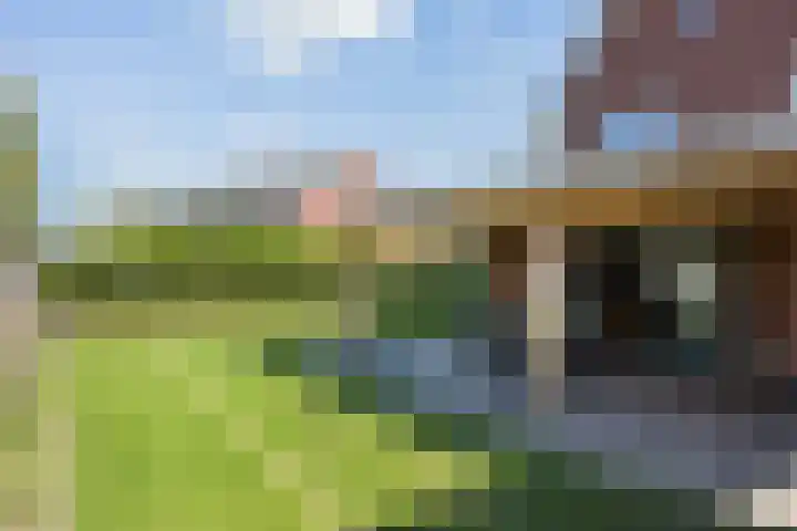 Vossenbes 33 Borne thumbnail 43