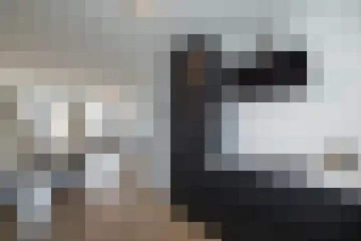 Vossenbes 35 Borne thumbnail 12