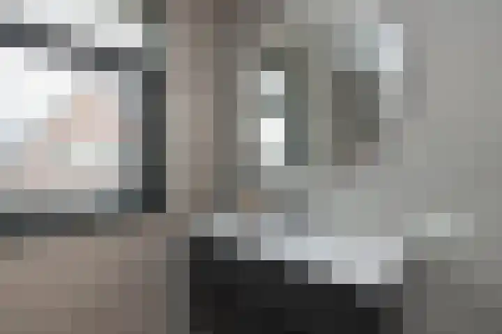 Vossenbes 35 Borne thumbnail 19