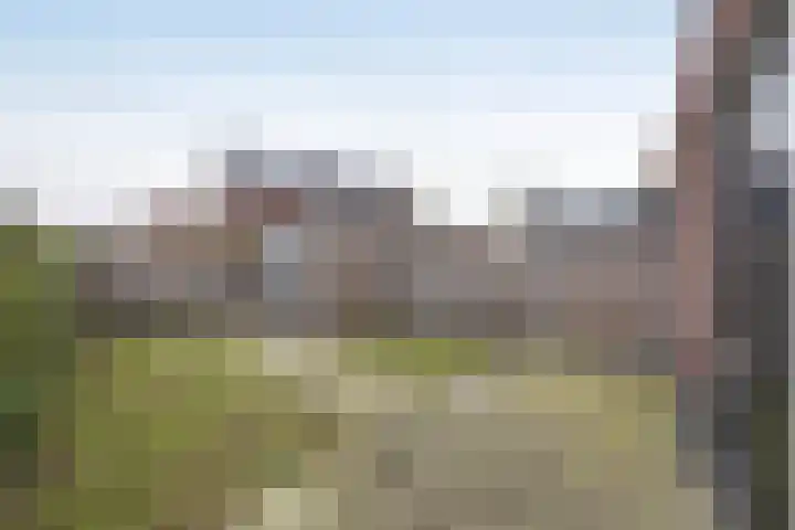 Vossenbes 35 Borne thumbnail 27