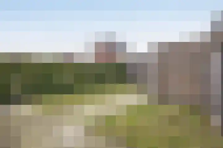 Vossenbes 35 Borne thumbnail 28